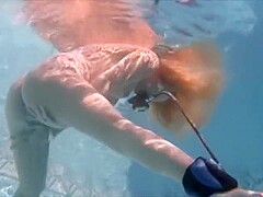 Nude Scuba Divers Nude Scuba Underwater At Sex Cum Porn Tube Page